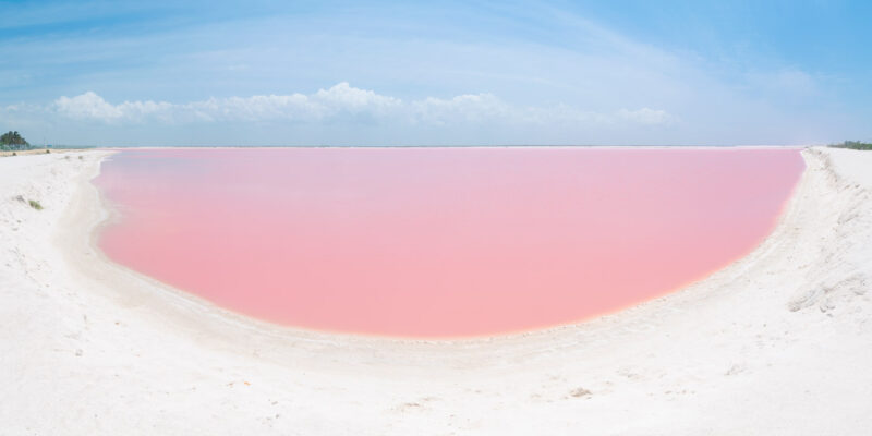 Panoramic view of a pink lake of Las Coloradas