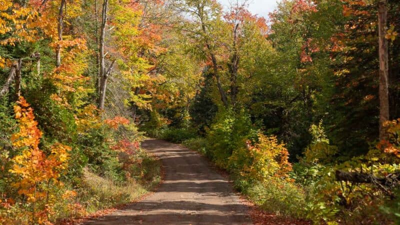 Smiths Fisheries Road Hikes in the Keweenaw Peninsula