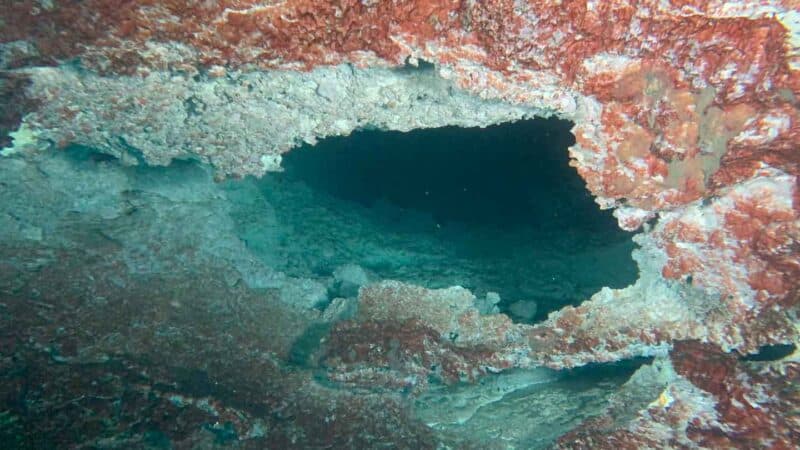 turquises colored water inside a cavern of Cenote Angelita