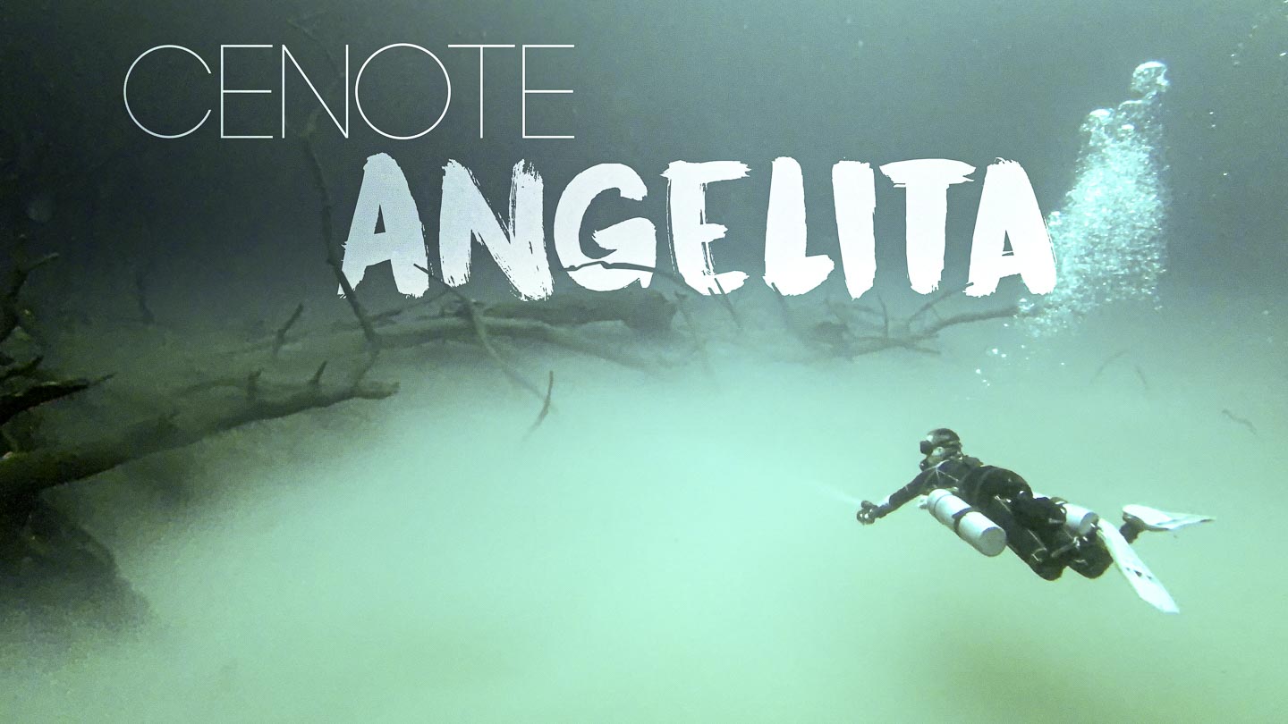 a single diver swimming in a cenote above the Hydrogen Sulfide Cloud with white text "Cenote Angelita"