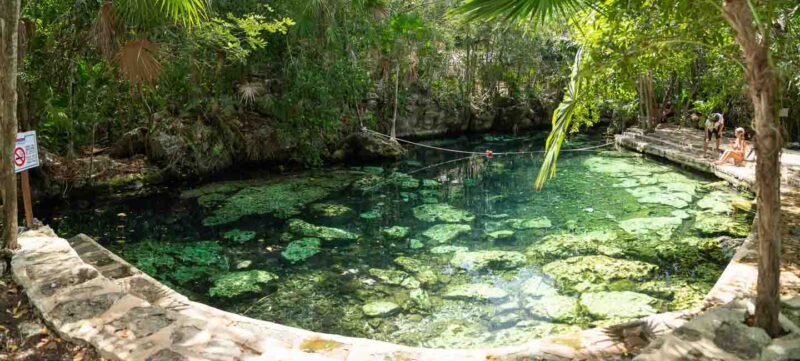 view of cenote escondido included in the entrance fee for Cenote Cristalino