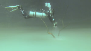 dive master with tech dive equipment passes over a skeleton tree inside Cenote Angelita