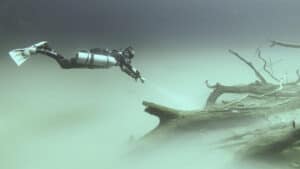 single diver approaches a dead tree poking out of the misty cloud layer of cenote angelita