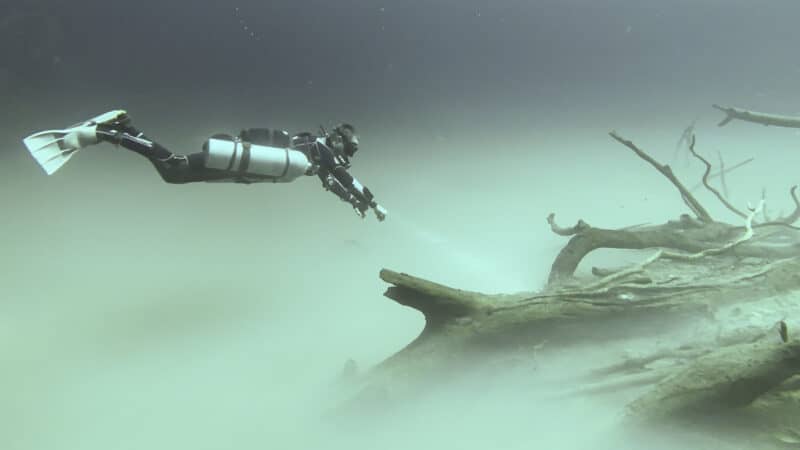 single diver approaches a dead tree poking out of the misty cloud layer of cenote angelita