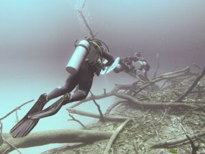 divers closely swimming over the talus cone and skeleton trees in tulum's Angelita Cenote