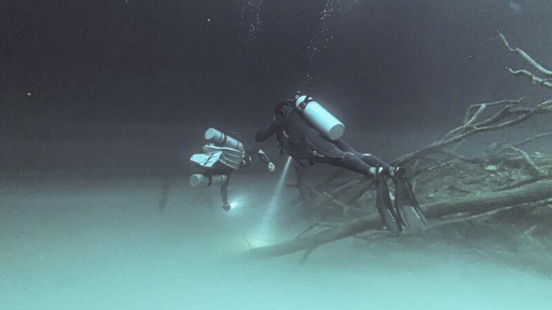 two diver with flashlights swimming above the hydrogen sulfide cloud in cenote angelita