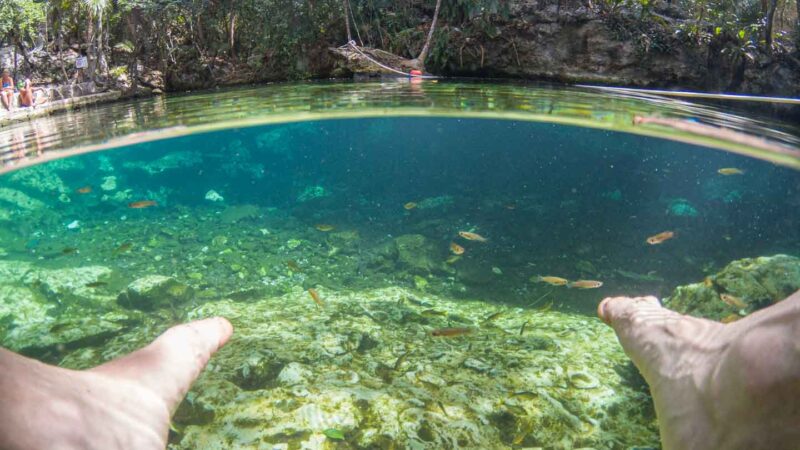fish swimming near a man's foot - Cenote Cristalino fish spa