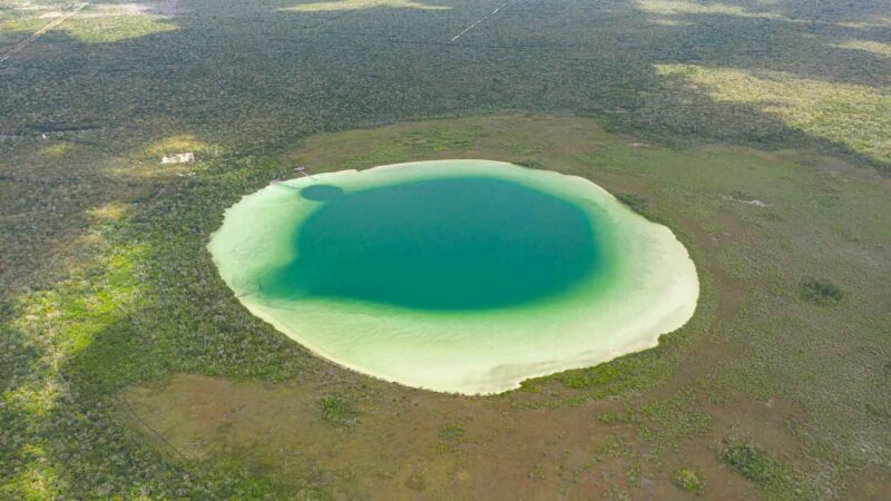 View of the whole lagoon of Kaan Luum surrounded by lush green jungle