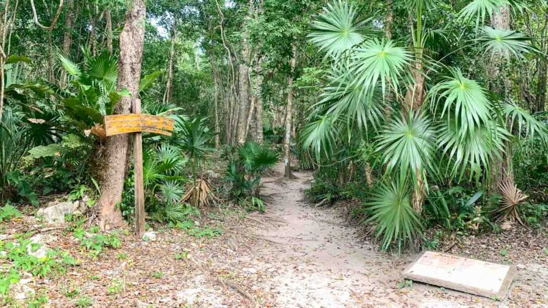 pathways through the jungle at Muyil Ruins