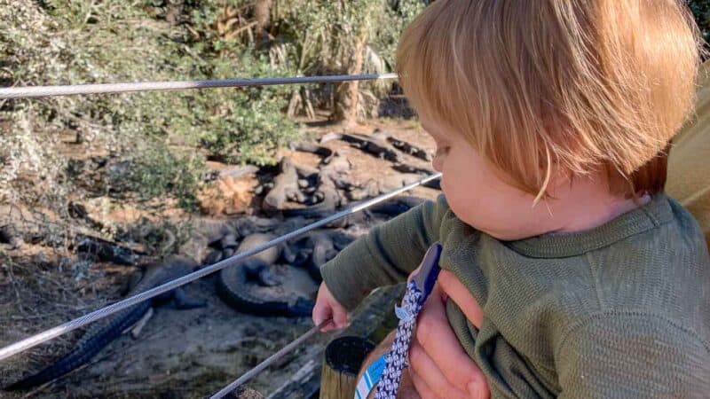 father holds his son at the St. Augustine Alligator Farm