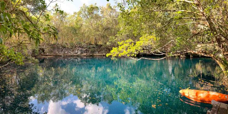 View of the surface of Cenote Angelita, green water with lush jungle surrounding
