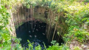 View from the top of Cenote Il Kil with green plants surrounding a circular opening of the deep cenote