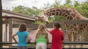 kids at the Henry Villas zoo in Madison Wisconsin