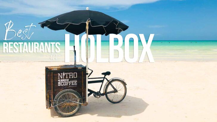 Best Holbox Restaurants – 2023 Complete Foodie Guide