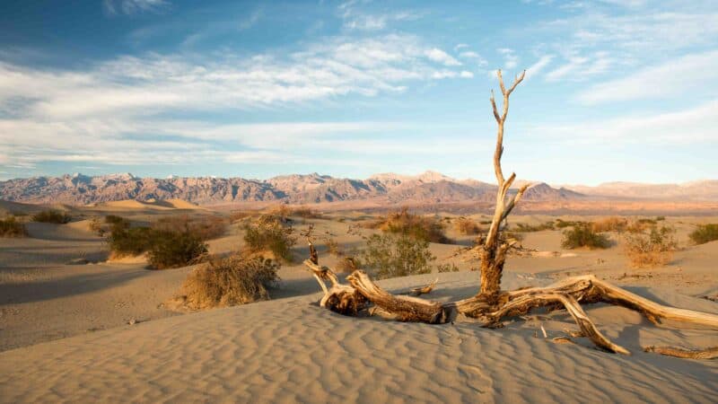 Death Valley National Park View