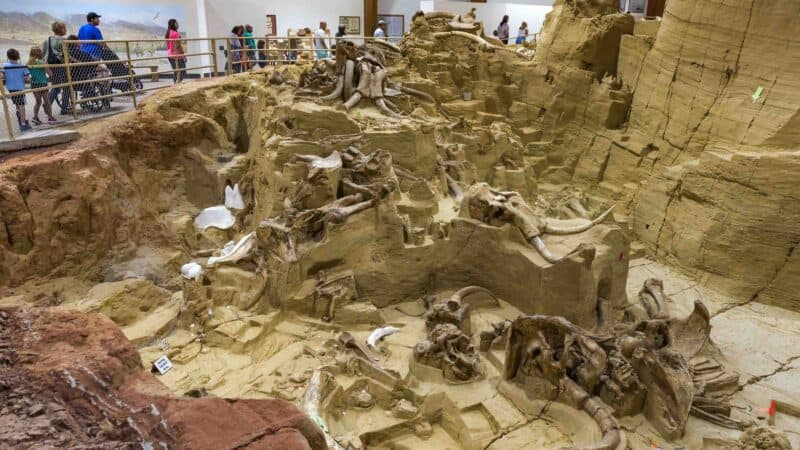 Mammoth Site in South Dakota