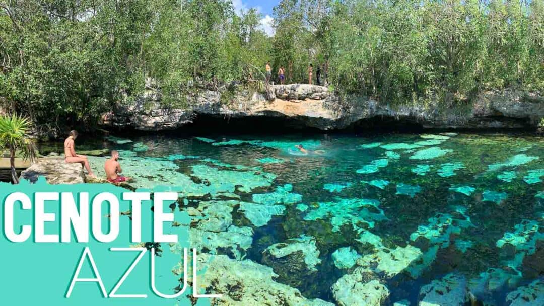 Tulum Cenote Azul - Everything You Need To Know