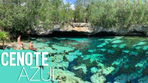 view of the main swimming area of Cenote Azul (blue Cenote) - Featured Image