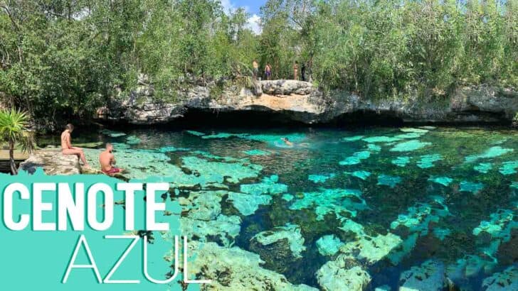 Tulum Cenote Azul – Everything You Need to Know