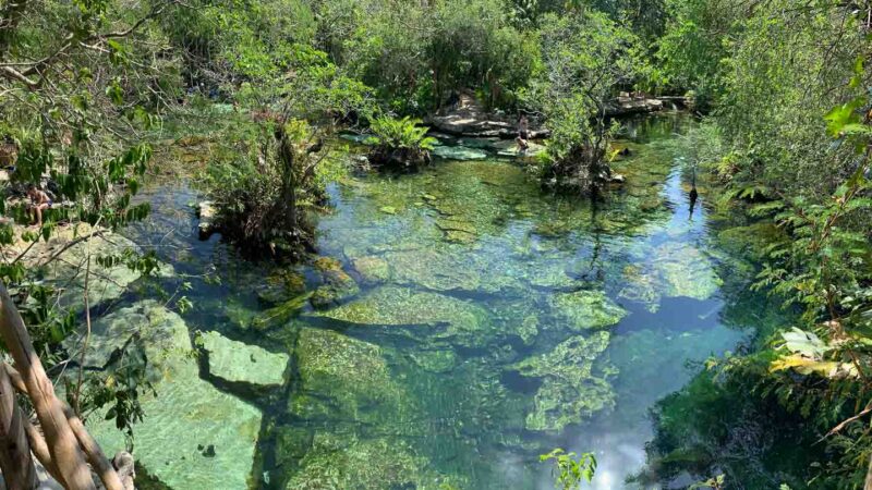 limestone rocks in a quiet area of cenote azul with green water and white rocks