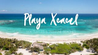 Playa Xcacel Beach - Drone View of the beach and turtle area - Featured Image