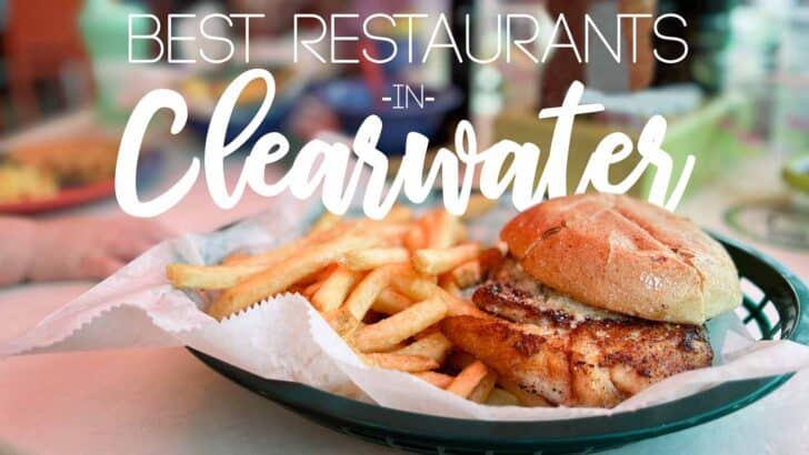 Top 10 Best Restaurants in Clearwater Florida