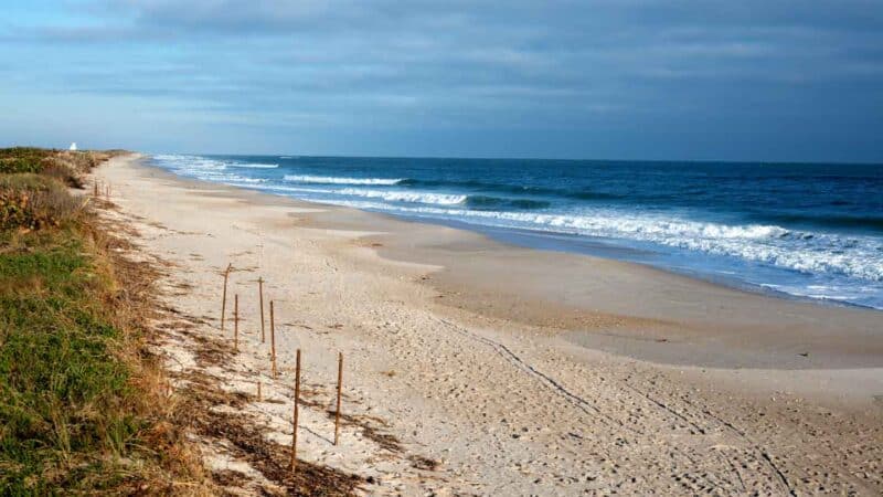 Canaveral National Seashore Beach