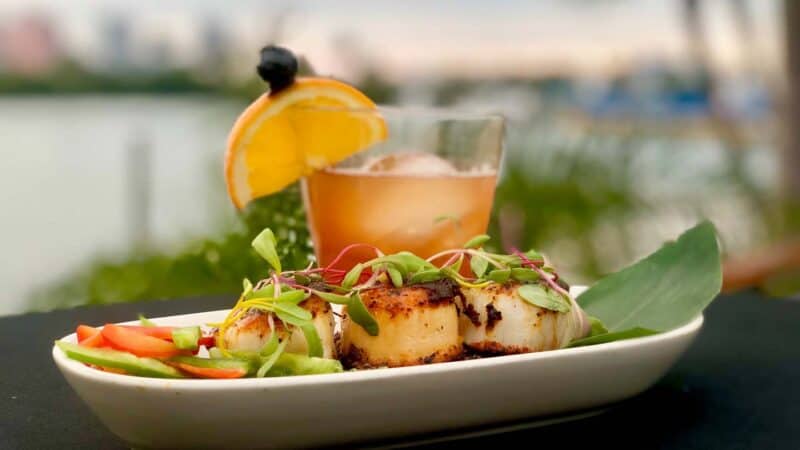 scallops and drink at Island Way Grill Restaurant in Clearwater Florida