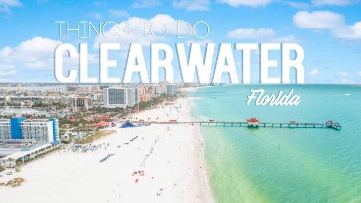 13 Things to do in Clearwater Beach Florida