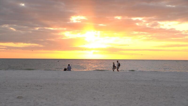 couple on sunset beach walking during a vibrant sunset - Top things to do in St Petersburg FL