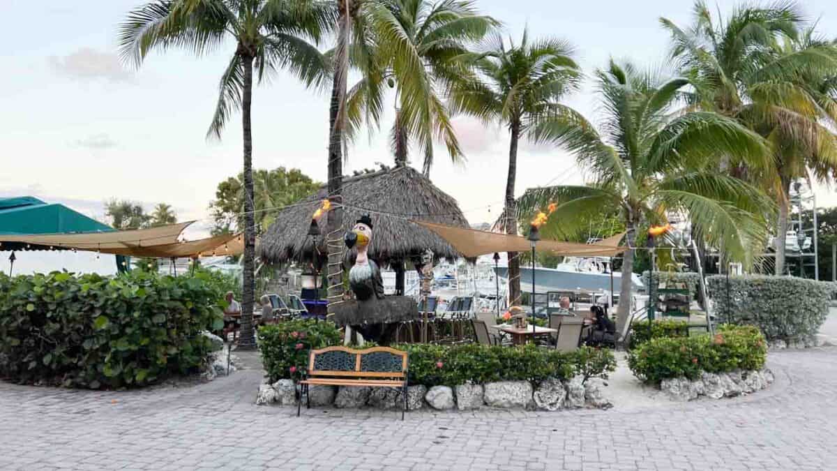 High 10 Waterfront Eating places in Key Largo 2024 Information