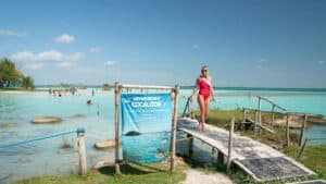Woman at the Stromatolites-Estromatolitos of cocalitos cenote