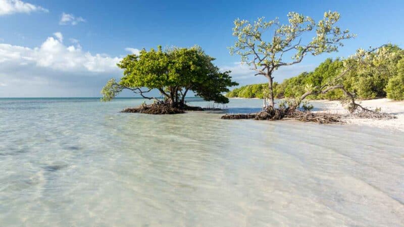 Anne's Beach in Islamorada Florida Keys