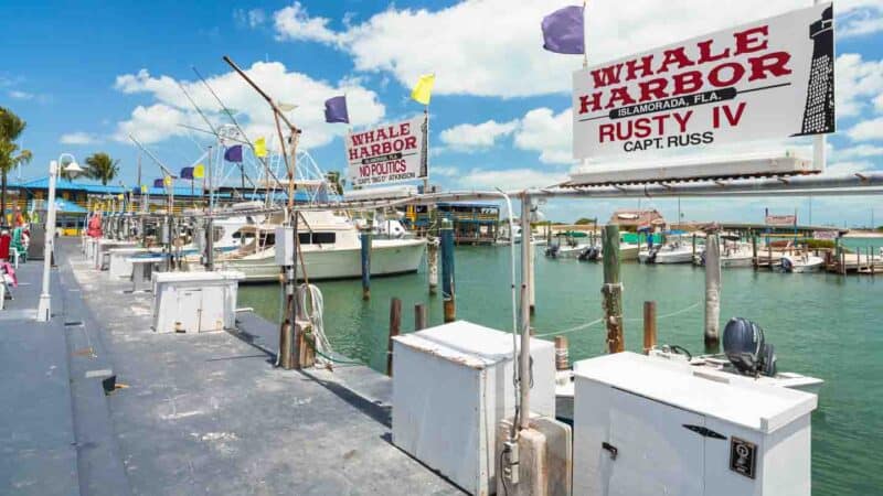 Islamorada Fishing Charter pier Whale Harbor