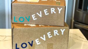 Lovevery Play Kit Subscription boxes
