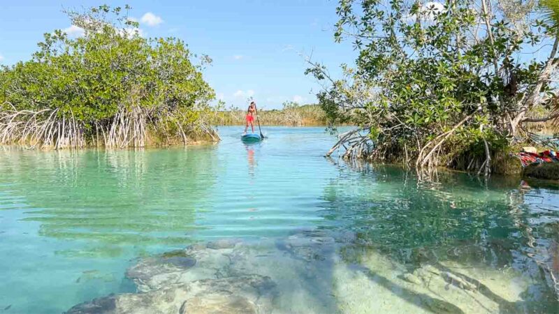 boy in red swim suit paddle boarding at Los Rapidos Bacalar