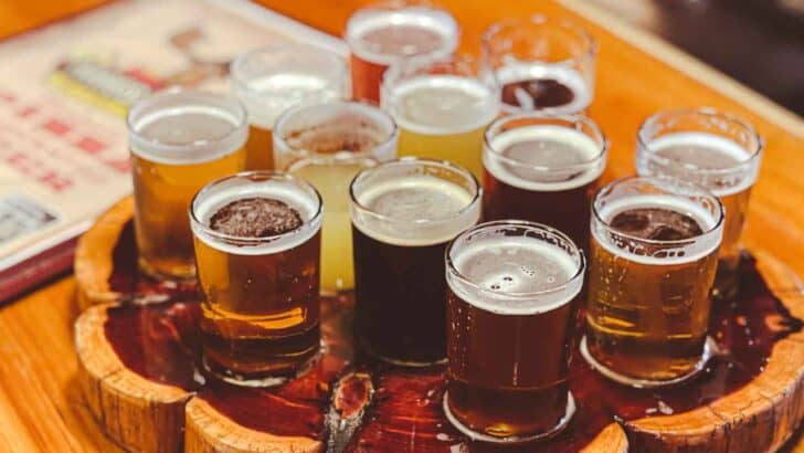 Best Breweries in Wisconsin Dells to Grab a Pint