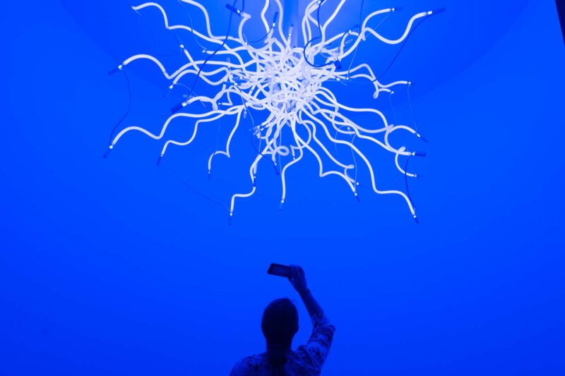 person at Chihuly Collection museum in St Petersburg Florida