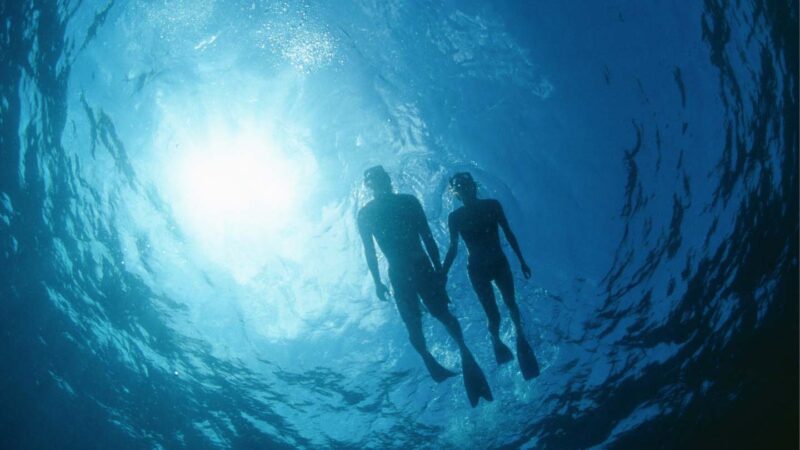 duas pessoas mergulhando com snorkel