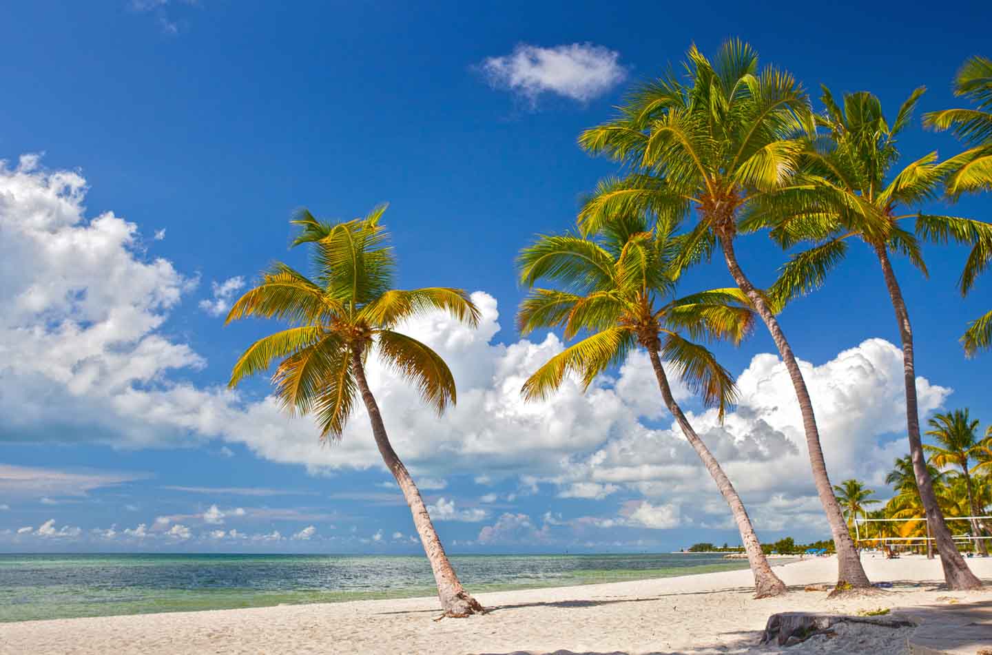 swaying palm trees on one of the best beaches in Key West