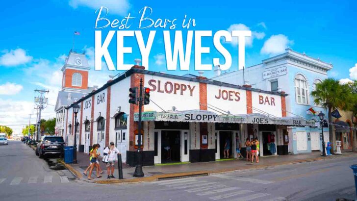 Top 19 Best Bars in Key West – 2024 Nightlife Guide