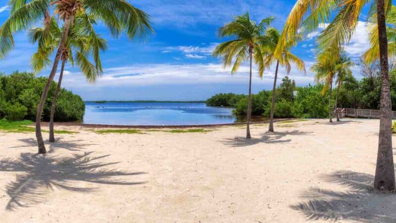 Far Beach best beach in Key Largo with sandy shore and palm trees