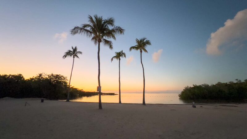 four palm trees silhouetted on Founder's Park Beach in Islamorada at sunset - top beaches near Key Largo 