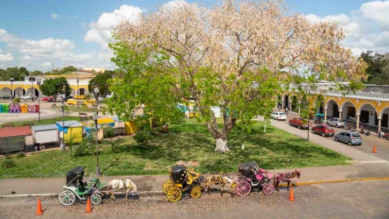 View from above the Izamal Plaza city square park