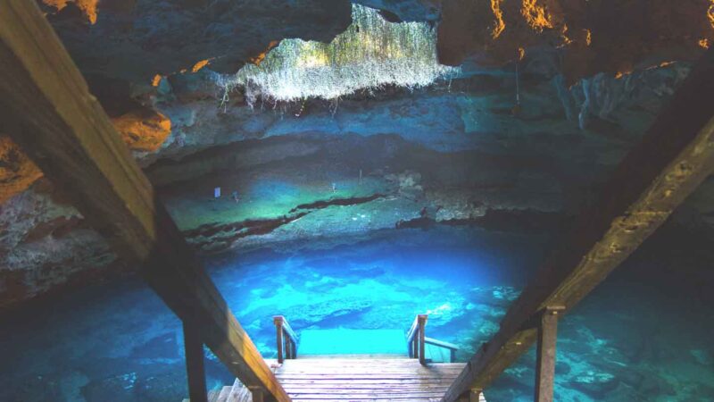 Devil's den is a historic site and spring that offers underwater caves to explore