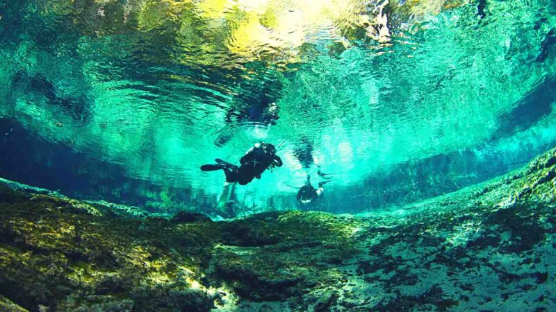 Ginnie Springs has the clearest water of all springs in Florida