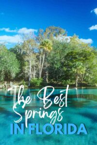 The Best Natural Springs in Florida