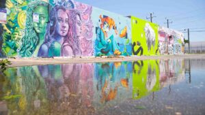 murals of the wynwood walls reflecting in a puddle