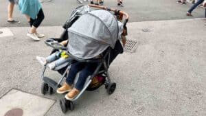 Zoe double stroller canopy