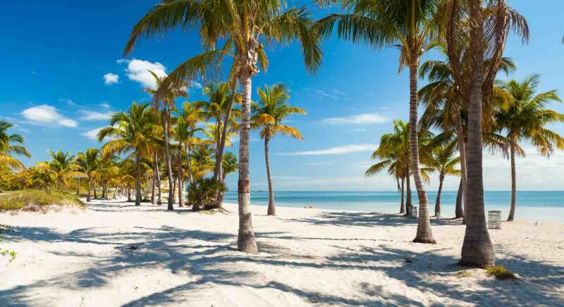 White sand beaches and palm trees at Miami's best beach - Carndon Park Beach